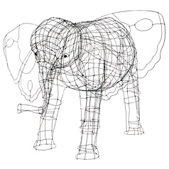 Éléphant ©Marie Christophe