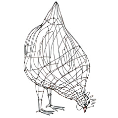 Poule ©Marie Christophe