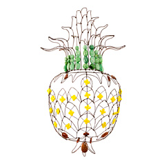 Ananas ©Marie Christophe